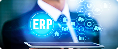 Custom ERP app development