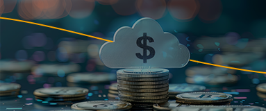 Cloud cost optimization services